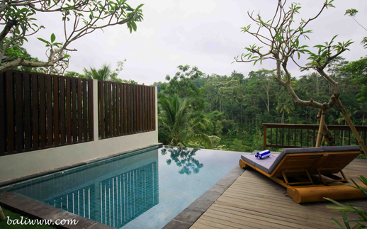 Bali Ubud Villa The Vimala